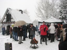 Adventsplätzchen_2010