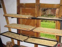 Adventsplätzchen_2011