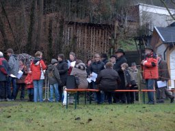 Adventsplätzchen_2011