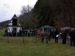 Adventsplätzchen_2011