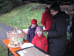 Adventsplätzchen_2011