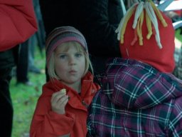 Adventsplätzchen_2011