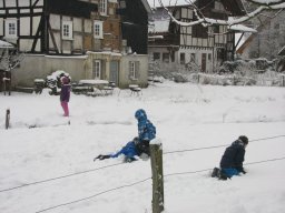 Adventsplätzchen_2012