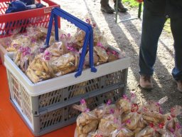 Adventsplätzchen_2014