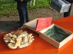 Adventsplätzchen_2014