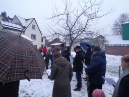 Adventsplätzchen_2018