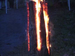 Adventsplätzchen_2019