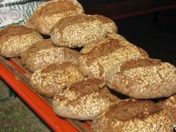 Frühjahrsbacktag_2011