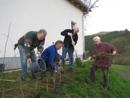 Baumpflanzung_2010