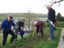 Baumpflanzung_2010