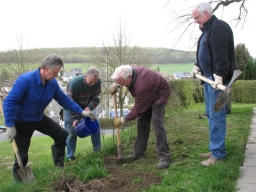 Baumpflanzung_2010