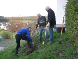 Baumpflanzung_2010
