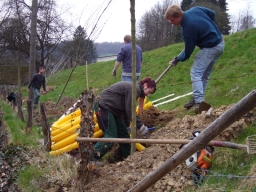 Baumpflanzung_2010