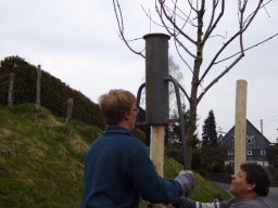 Baumpflanzung_2010