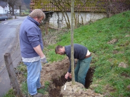 Baumpflanzung_2010