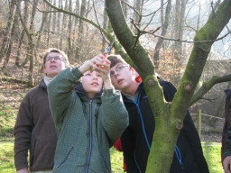 Obstbaumschnittkurs_2014