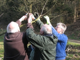 Obstbaumschnittkurs_2014