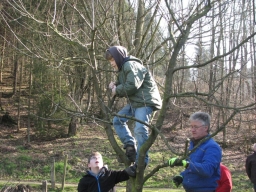 Obstbaumschnittkurs_2014