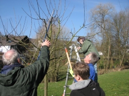 Obstbaumschnittkurs_2014