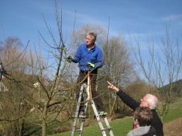 Obstbaumschnittkurs_2014