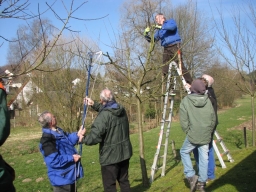 Obstbaumschnittkurs_2014