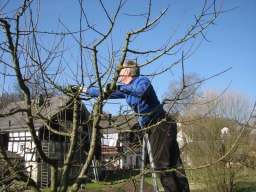 Obstbaumschnittkurs_2014
