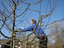 Obstbaumschnittkurs_2014