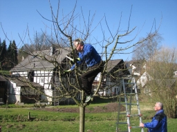Obstbaumschnittkurs_2014