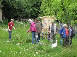 Offener_Garten_2013