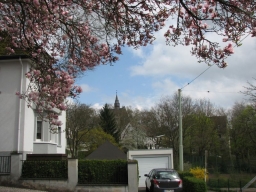 Oberstruthschule_2013