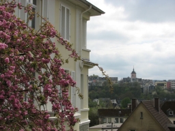 Oberstruthschule_2013