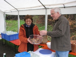 Frühjahrsbacktag_2008