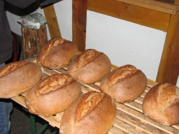 Frühjahrsbacktag_2012