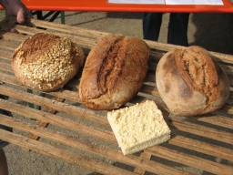 Frühjahrsbacktag_2014