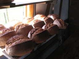 Frühjahrsbacktag_2015