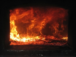 Frühjahrsbacktag_2016