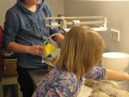 Frühjahrsbacktag_2016