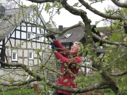 Frühjahrsbacktag_2017