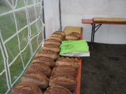 Frühjahrsbacktag_2019