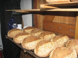 Frühjahrsbacktag_2019