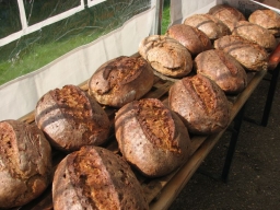 Frühjahrsbacktag_2019