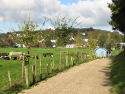 Regenrückhaltebecken_2009