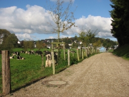 Regenrückhaltebecken_2009
