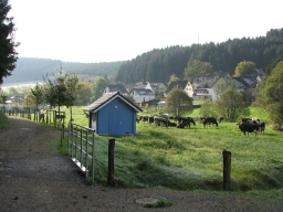 Regenrückhaltebecken_2009