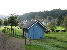 Regenrückhaltebecken_2009