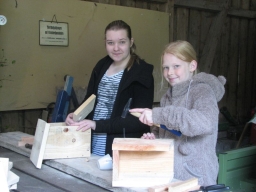 Nistkasten_2015