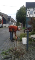 Pflegearbeiten_2016