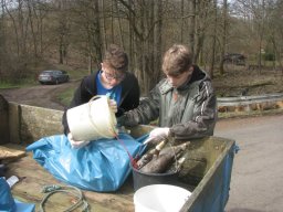 Saubere_Landschaft_2016